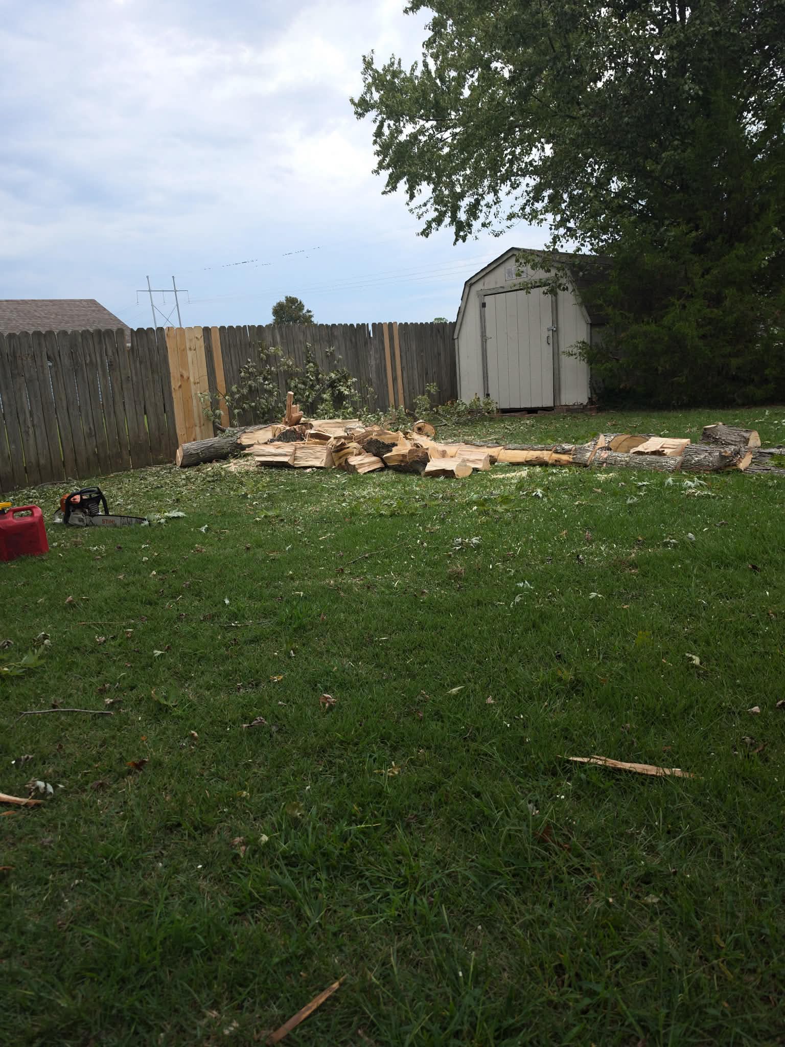 Finished yard following tree removal and cleanup